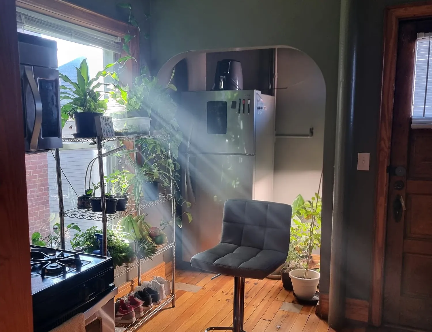 Studio, 550 sqft, $1,050 — Photo 2