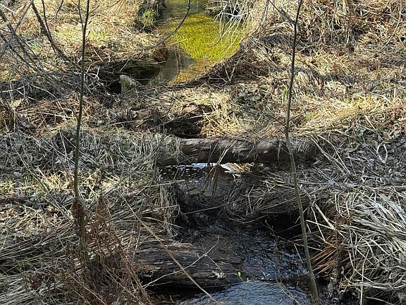 4th image of 0 Swede Basin Rd #R325987