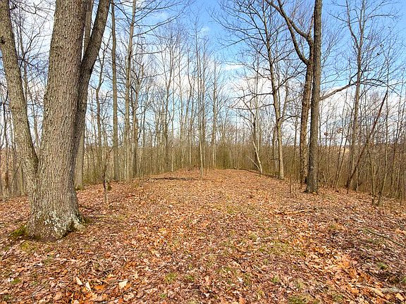 4th image of 0 Millers Run Back Run Rd