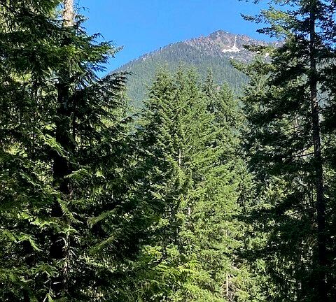 2nd image of 280 N Mt Seattle Way