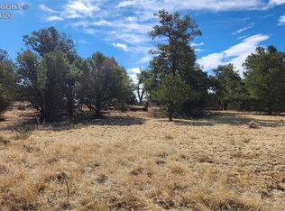 I L Path, Cotopaxi, CO 81223