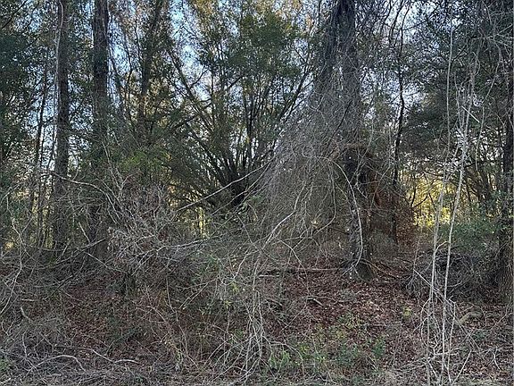 4th image of 8276 N Elida Ave