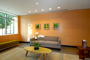 Rented by The Albanese Organization