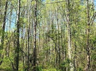 20 Wild Mountain Ln, Barnardsville, NC 28709