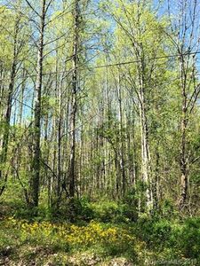 20 Wild Mountain Ln, Barnardsville, NC, 28709