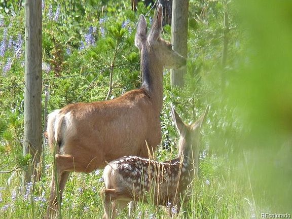 2nd image of 874 County Road 4980