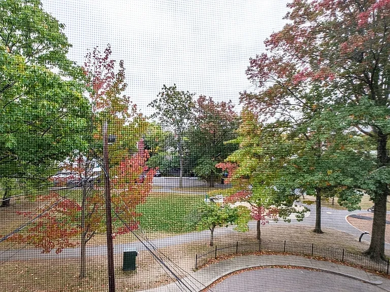 7 Mulford St #3 — Photo 22