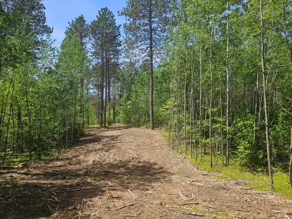 5 Prairie Lake Rd Lot 5, Tomahawk, WI 54487