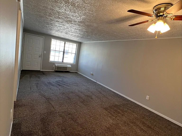 Treeborn Apartments — Photo 38