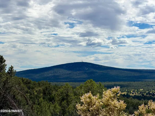 0 W Elkhorn Pass, Seligman, AZ 86337