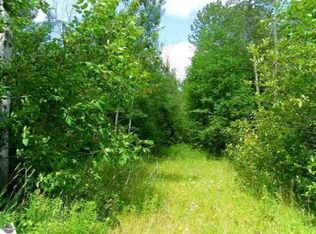 Birch Dr, Sears, MI 49679