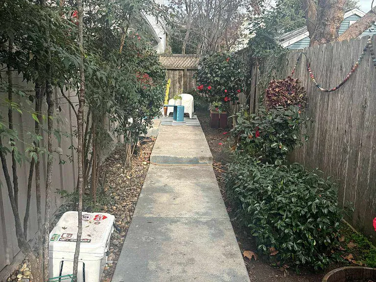 Pine St — Photo 8