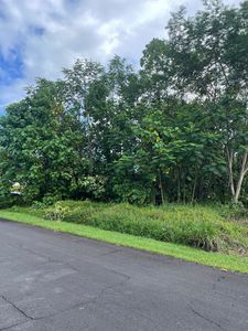 Manini St, Pahoa, HI, 96778