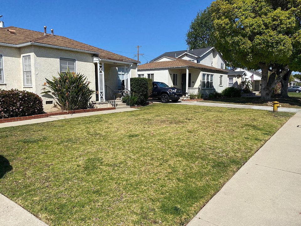 Front yard