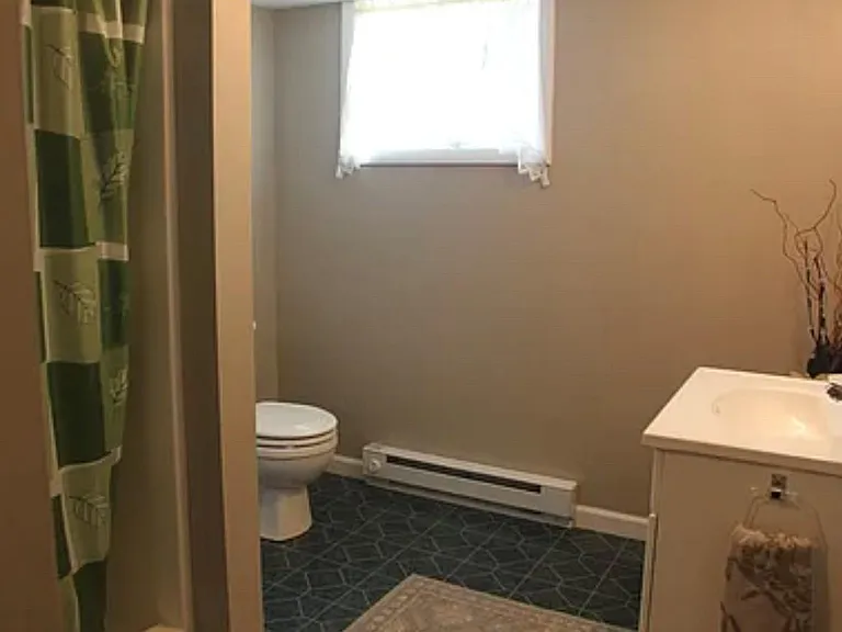 Full Bath in Basement