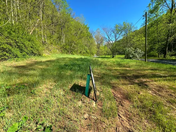 Leonard Cordova Rd, Renick, WV 24966