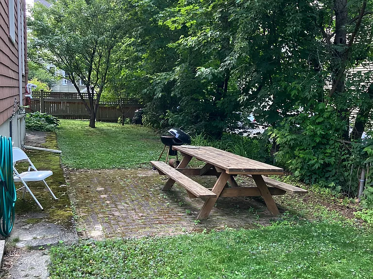 back yard