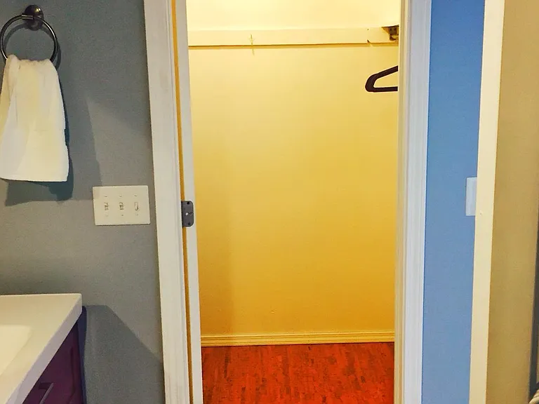 Master bathroom and walk-in closet