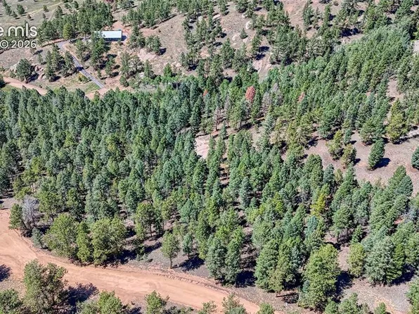 105 Carlton Cir, Florissant, CO 80816
