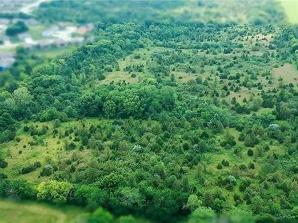 Madison Dr, Raymore, MO 64083