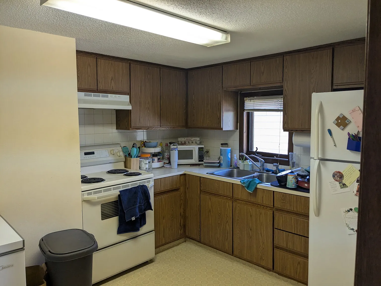 1 bed, 650 sqft, $800 — Photo 2
