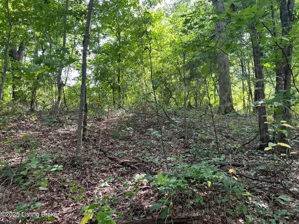 802 Stone Hill Rd, Mammoth Cave, KY 42259