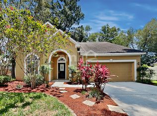 2219 Mountain Meadow Way, Valrico, FL 33594