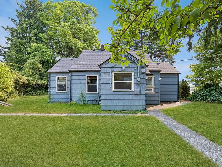 View of backyard