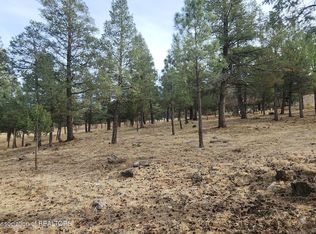 (Undisclosed Address), Ruidoso, NM 88345