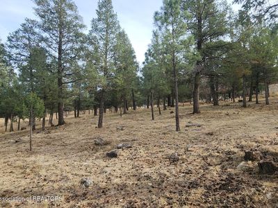 (Undisclosed Address), Ruidoso, NM, 88345