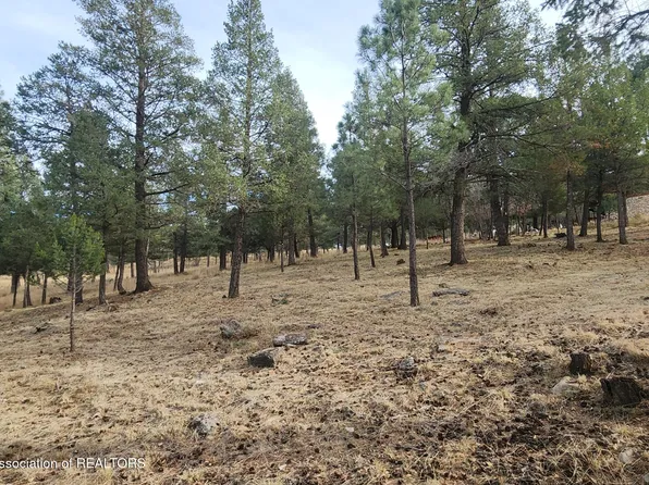 (undisclosed Address), Ruidoso, NM 88345