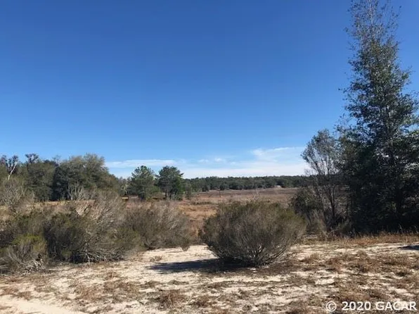 105 Joyce Ct, Interlachen, FL 32148