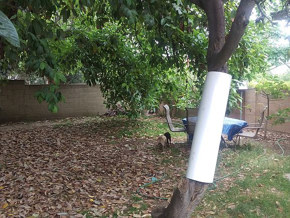 Gated personal back yard.