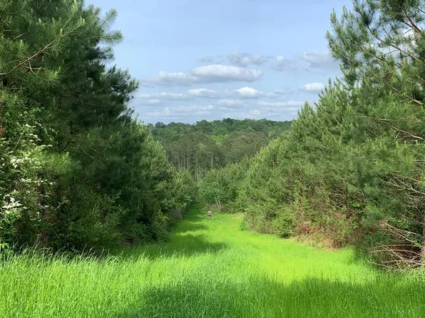 Macedonia Rd, Centreville, MS 39631