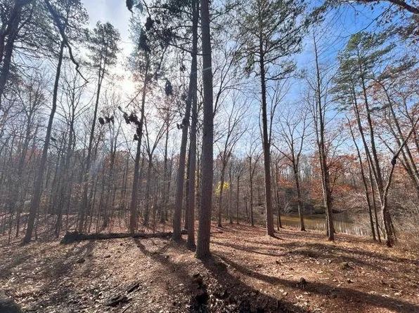 30 Lakewood Dr, Saulsbury, TN 38067