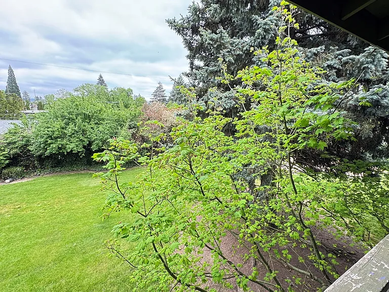 The Firs — Photo 26
