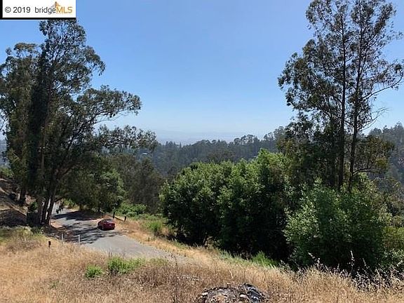 5th image of 7155 Thorndale Dr