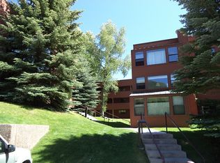 951 Vine St #951, Aspen, CO 81611