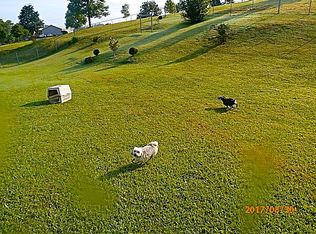 613 Pleasant Grove Rd, Bluff City, TN 37618