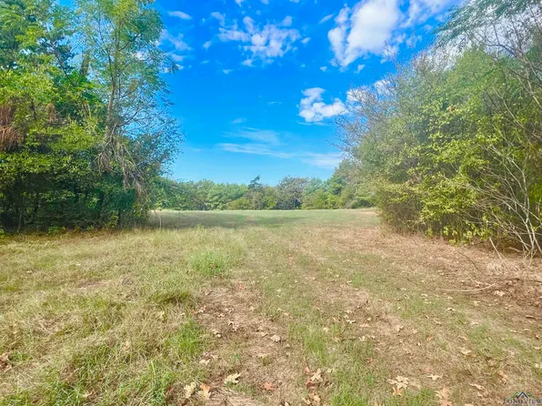 2120 Cr, Pittsburg, TX 75686