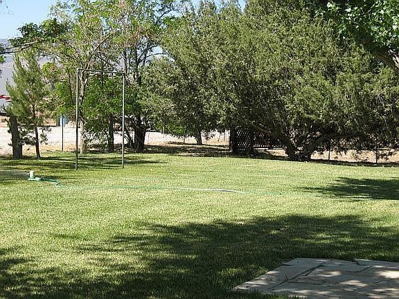 South side back yard