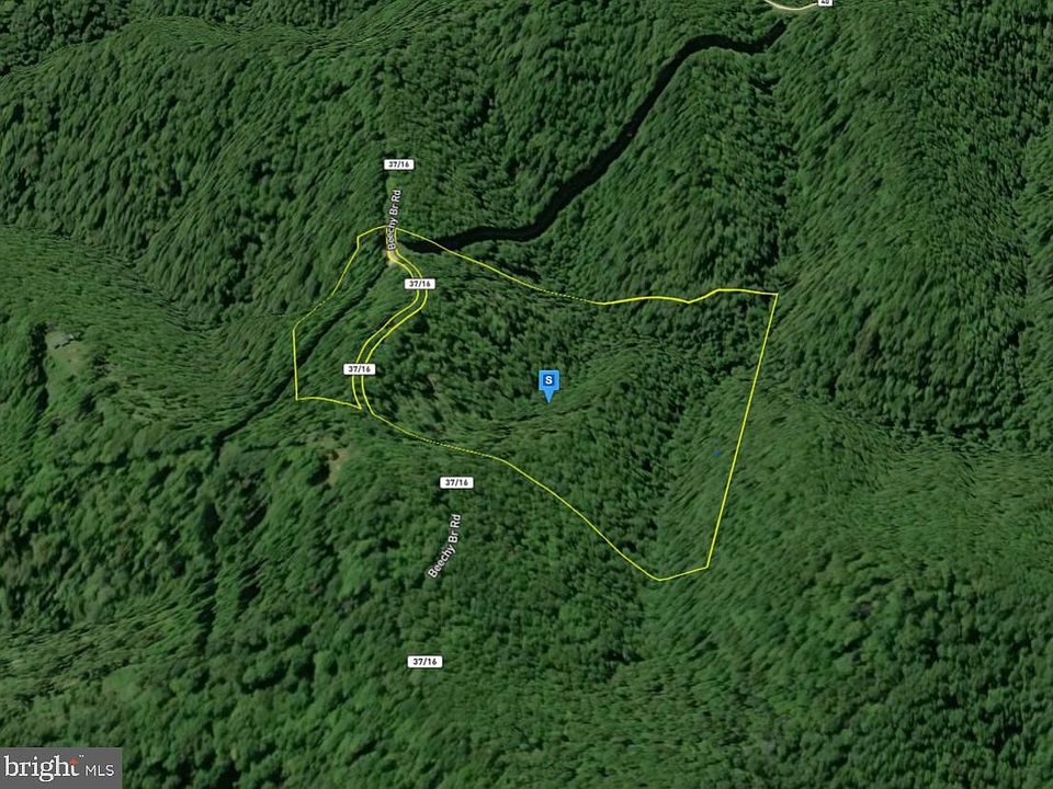 2nd image of 111 Beechy Branch Rd