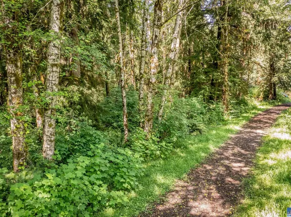 PARCEL Six Swamp Rd, Sekiu, WA 98381