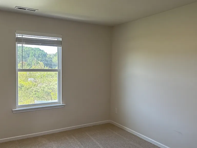 6010 Walkers Run Dr — Photo 17