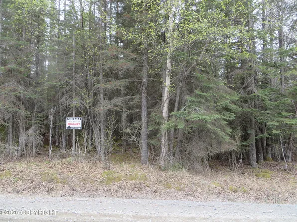 L1 Tolum Rd, Kasilof, AK 99610