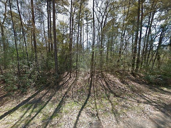 2nd image of 11760 Long Tree Ln