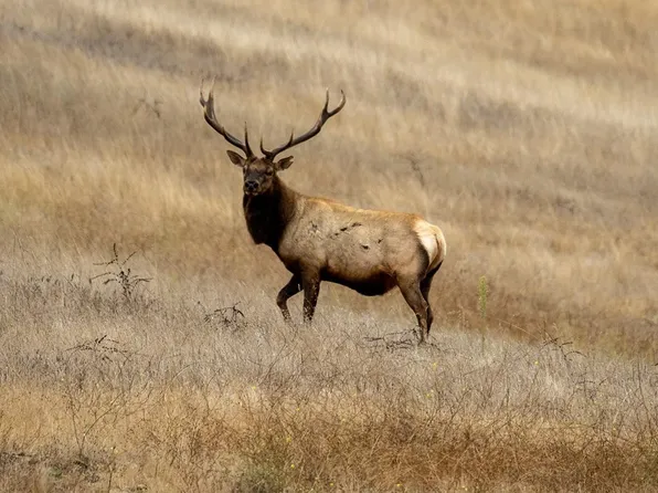 171 Old Stage Rd, Salinas, CA 93908