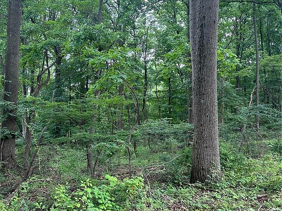2nd image of 6670 Sweetwood Dr