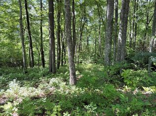 239 Cross Vine Drive, Tuckasegee, NC 28783