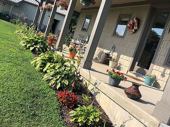 Street side in summer